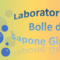 Laboratorio Bolle di Sapone Maggio 2024 - Iscrizioni aperte!